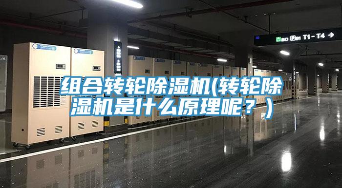 組合轉輪草莓视频污污污污(轉輪草莓视频污污污污是什麽原理呢？)