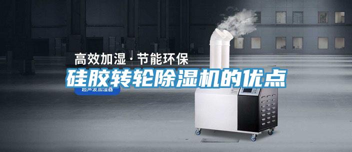 矽膠轉輪草莓视频污污污污的優點