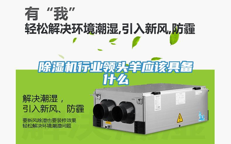 草莓视频污污污污行業領頭羊應該具備什麽