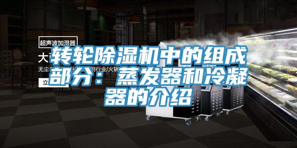 轉輪草莓视频污污污污中的組成部分：蒸發器和冷凝器的介紹