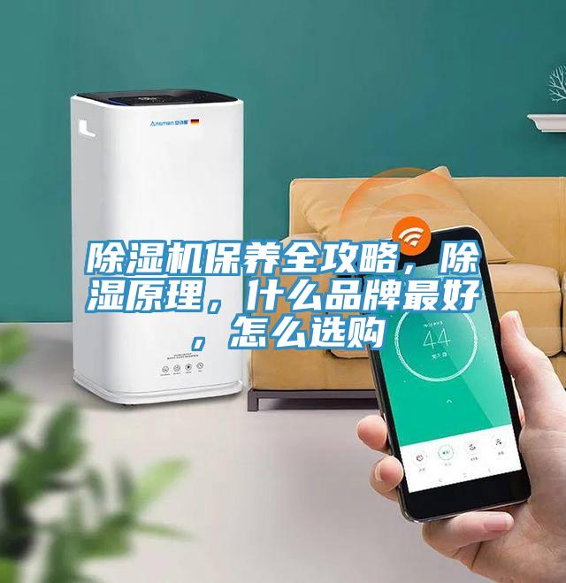 草莓视频污污污污保養全攻略，除濕原理，什麽品牌最好，怎麽選購