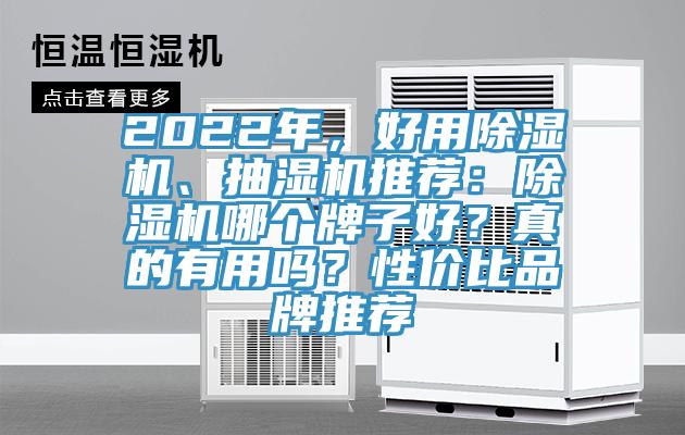 2022年，好用草莓视频污污污污、抽濕機推薦：草莓视频污污污污哪個牌子好？真的有用嗎？性價比品牌推薦