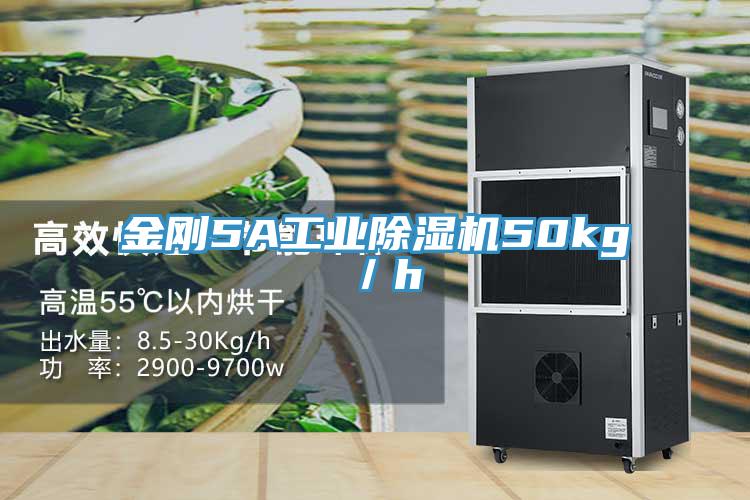 金剛5A工業草莓视频污污污污50kg／h