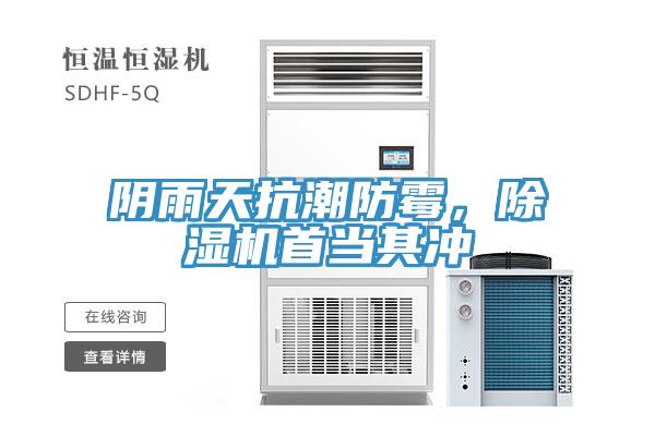 陰雨天抗潮防黴，草莓视频污污污污首當其衝