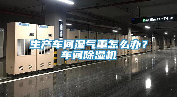 生產車間濕氣重怎麽辦？車間草莓视频污污污污