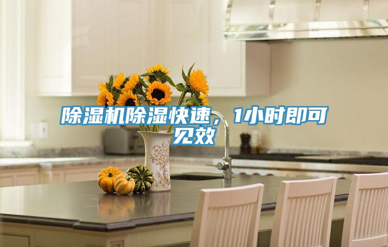 草莓视频污污污污除濕快速，1小時即可見效