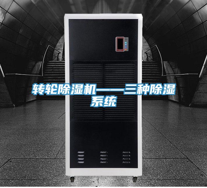 轉輪草莓视频污污污污——三種除濕係統