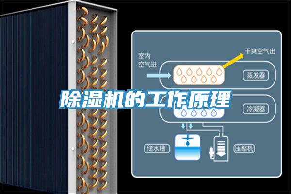 草莓视频污污污污的工作原理