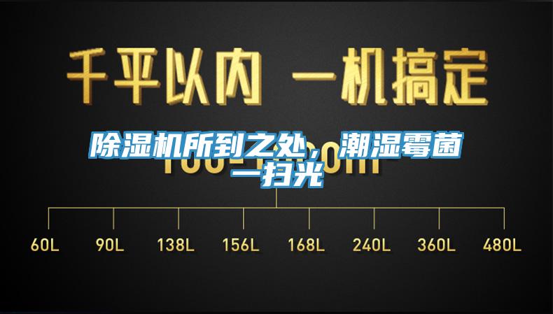 草莓视频污污污污所到之處，潮濕黴菌一掃光