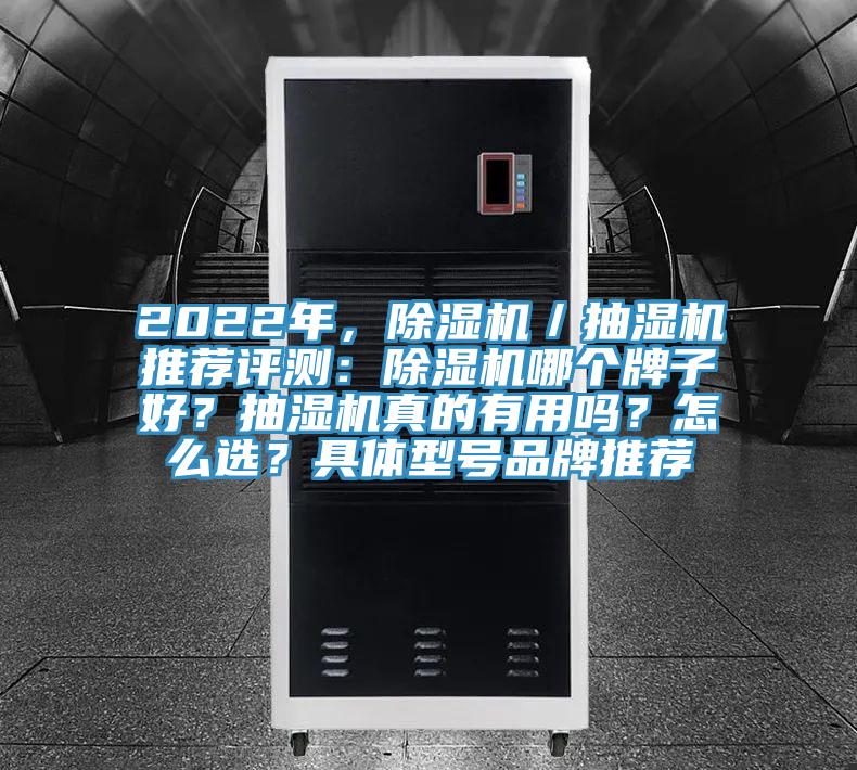 2022年，草莓视频污污污污／抽濕機推薦評測：草莓视频污污污污哪個牌子好？抽濕機真的有用嗎？怎麽選？具體型號品牌推薦