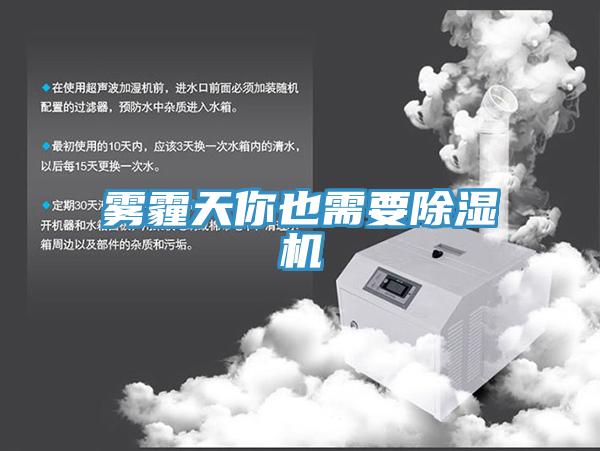 霧霾天你也需要草莓视频污污污污
