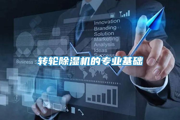 轉輪草莓视频污污污污的專業基礎