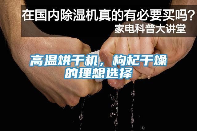 高溫烘幹機，枸杞幹燥的理想選擇
