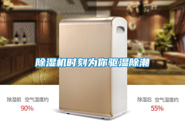 草莓视频污污污污時刻為你驅濕除潮