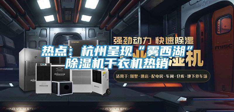 熱點：杭州呈現“霧西湖”草莓视频污污污污幹衣機熱銷