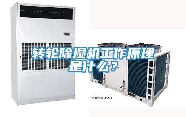 轉輪草莓视频污污污污工作原理是什麽？