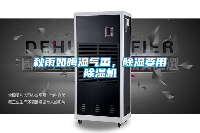 秋雨如晦濕氣重，除濕要用草莓视频污污污污