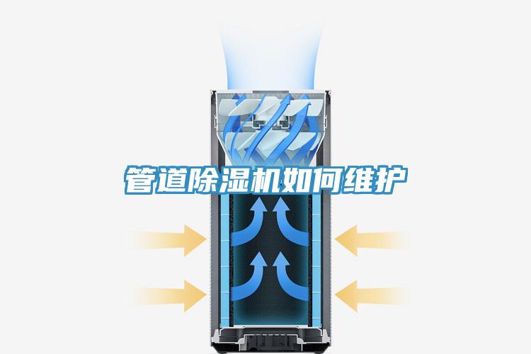 管道草莓视频污污污污如何維護