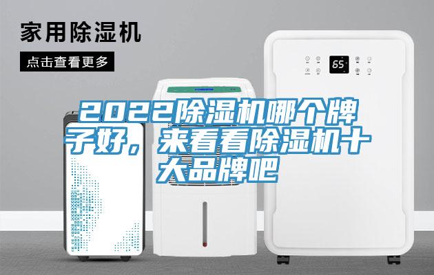 2022草莓视频污污污污哪個牌子好，來看看草莓视频污污污污十大品牌吧