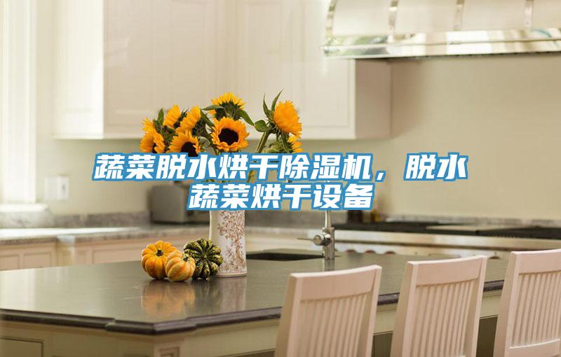 蔬菜脫水烘幹草莓视频污污污污，脫水蔬菜烘幹設備
