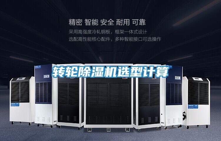 轉輪草莓视频污污污污選型計算