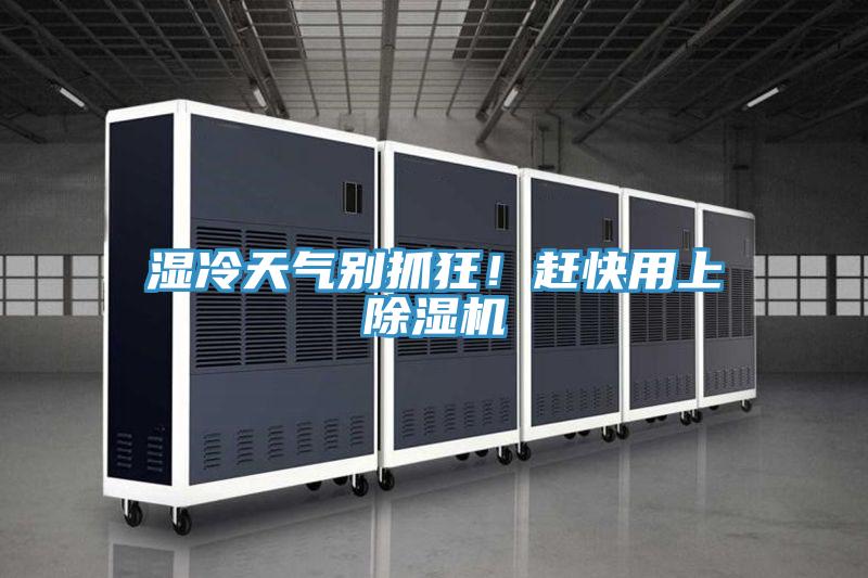 濕冷天氣別抓狂！趕快用上草莓视频污污污污