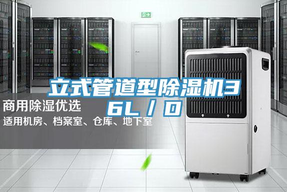 立式管道型草莓视频污污污污36L／D