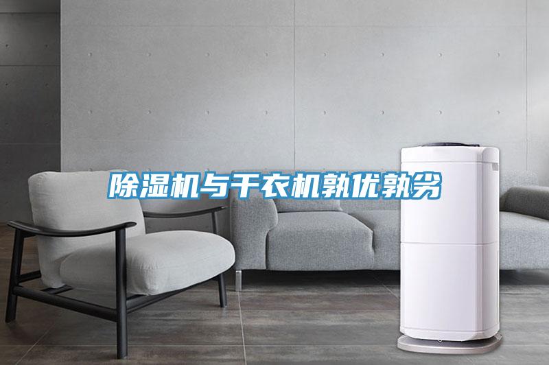 草莓视频污污污污與幹衣機孰優孰劣