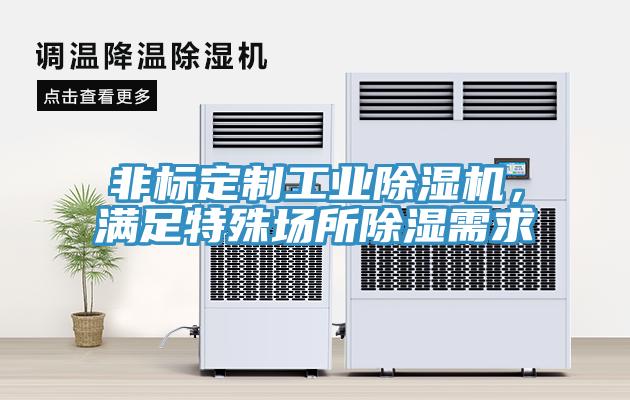 非標定製工業草莓视频污污污污，滿足特殊場所除濕需求