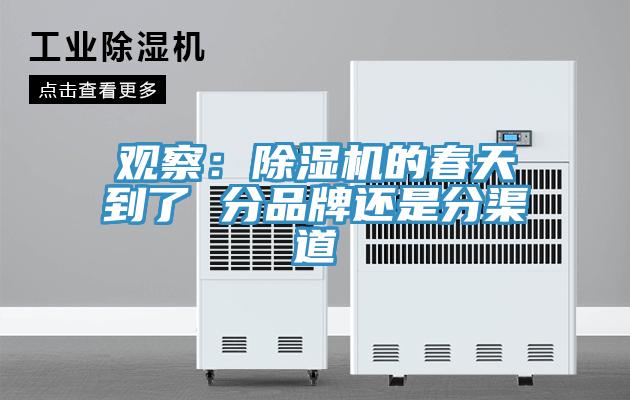 觀察：草莓视频污污污污的春天到了 分品牌還是分渠道