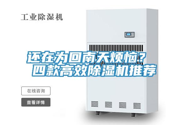 還在為回南天煩惱？ 四款高效草莓视频污污污污推薦