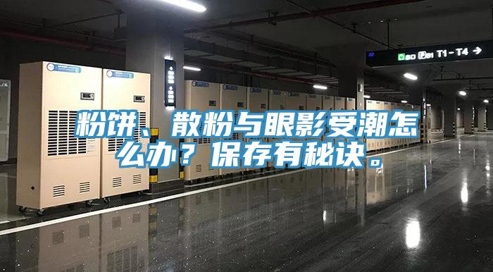粉餅、散粉與眼影受潮怎麽辦？保存有秘訣。