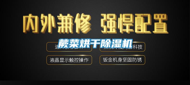蕨菜烘幹草莓视频污污污污