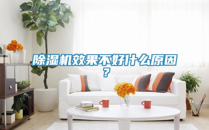 草莓视频污污污污效果不好什麽原因？