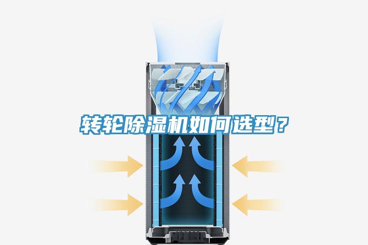 轉輪草莓视频污污污污如何選型？
