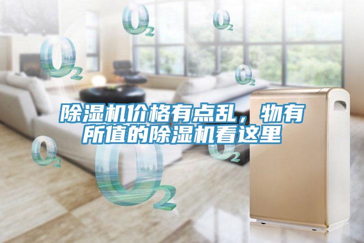 草莓视频污污污污價格有點亂，物有所值的草莓视频污污污污看這裏