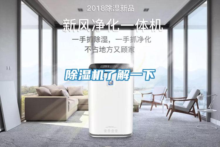 草莓视频污污污污了解一下