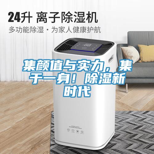 集顏值與實力，集於一身！除濕新時代