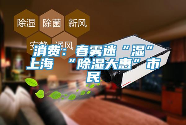 消費：春霧迷“濕”上海 “除濕大惠”市民
