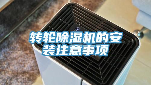 轉輪草莓视频污污污污的安裝注意事項