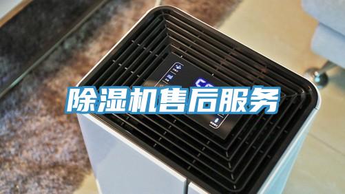 草莓视频污污污污售後服務