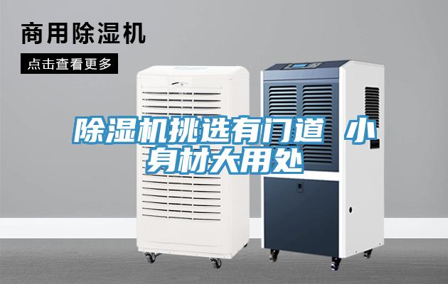 草莓视频污污污污挑選有門道 小身材大用處