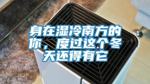 身在濕冷南方的你，度過這個冬天還得有它