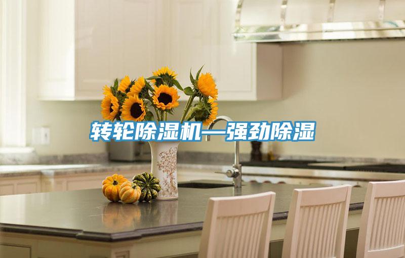 轉輪草莓视频污污污污—強勁除濕