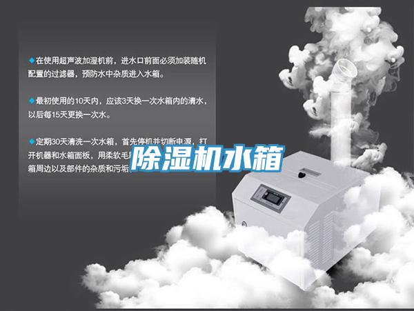 草莓视频污污污污水箱