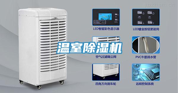 溫室草莓视频污污污污