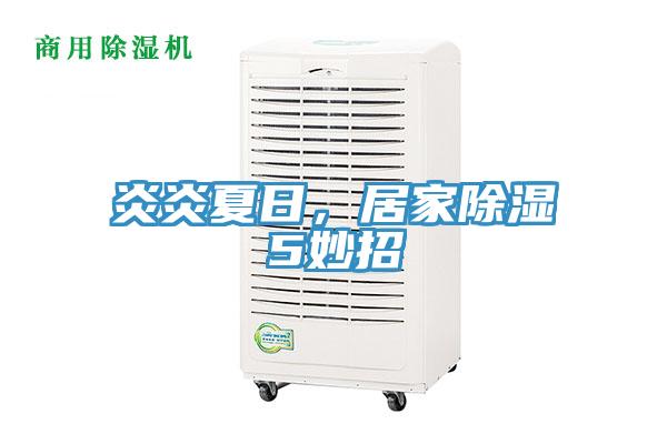 炎炎夏日，居家除濕5妙招