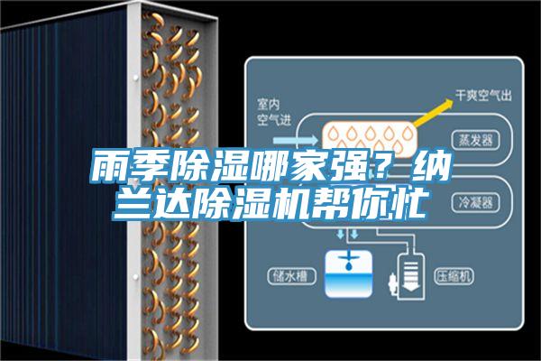 雨季除濕哪家強？納蘭達草莓视频污污污污幫你忙