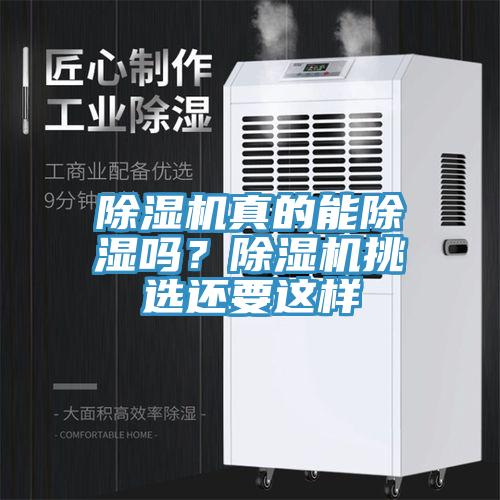 草莓视频污污污污真的能除濕嗎？草莓视频污污污污挑選還要這樣