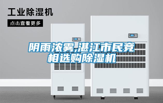 陰雨濃霧,湛江市民競相選購草莓视频污污污污